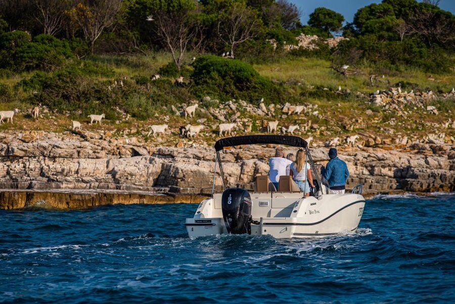 From Fažana: Private boat tour of Brijuni Islands - Guides, weather, and practical planning