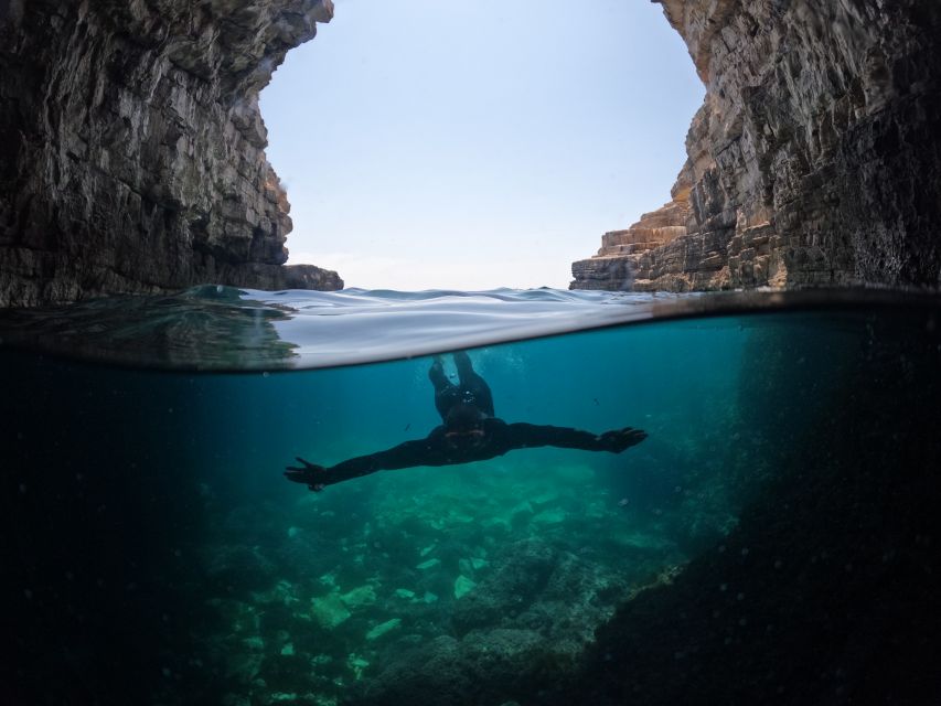 From Fažana: snorkeling at sea cave and Brijuni Island - Why this three-hour trip works well from Fažana