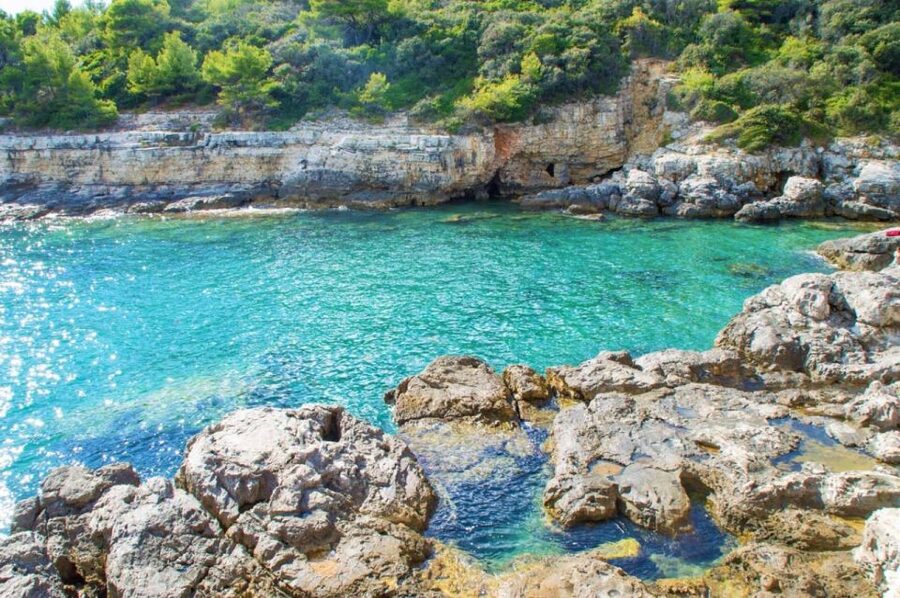 From Fažana: snorkeling at sea cave and Brijuni Island - A short pause at tiny Figo Cove