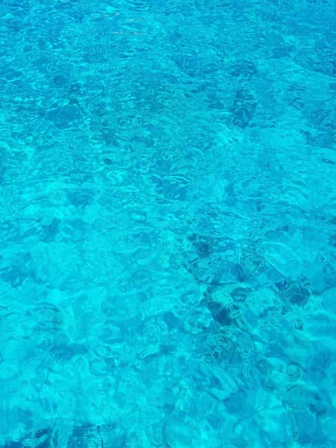 From Hvar: Blue cave group speedboat tour full day - Green Cave offers more choice, but less certainty
