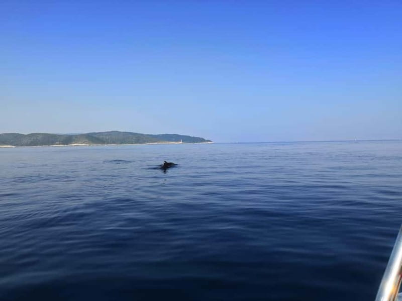 From Hvar: Unforgetable Tour to the Island Vis and Blue Cave - Who should book this boat day?