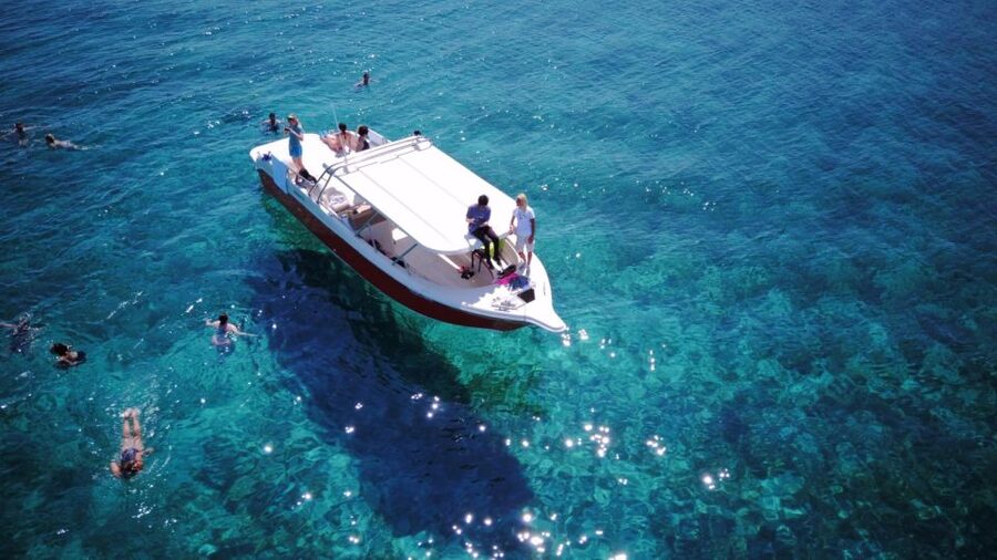 From Hvar: Vis Island and Blue Cave Speedboat Tour - Key points to know before booking