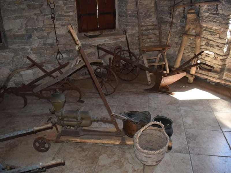 From Korcula Town: Local Wine & Sightseeing Half-Day Tour - First winery: a gentle introduction to Korcula wine