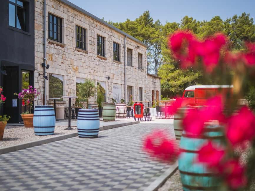 From Korcula Town: Local Wine & Sightseeing Half-Day Tour - Vineyards, viewpoints, and the road between tastings