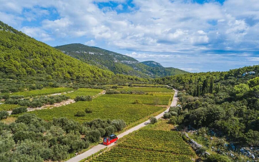 From Korcula Town: Local Wine & Sightseeing Half-Day Tour - Pickup from Korcula Town and the first island views