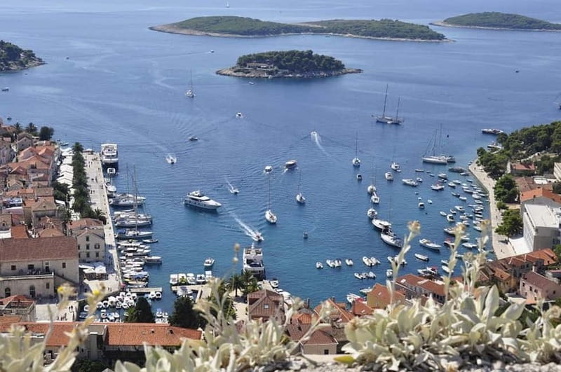 From Milna or Supetar: Magical Blue Cave Island Hopping - Why this island-hopping day works