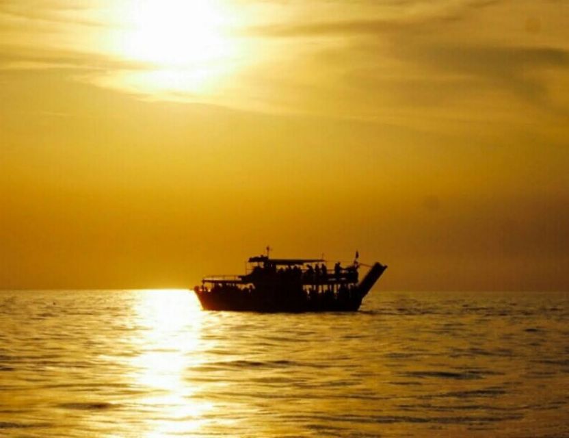 From Poreč: Evening Dolphin Cruise with Welcome Drink - The search for dolphins in open water