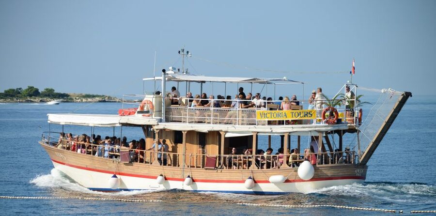From Poreč: Evening Dolphin Cruise with Welcome Drink - Sunset light and the welcome drink