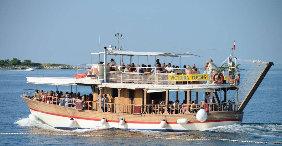 From Poreč: Evening Dolphin Cruise with Welcome Drink - Is $35 a fair price?