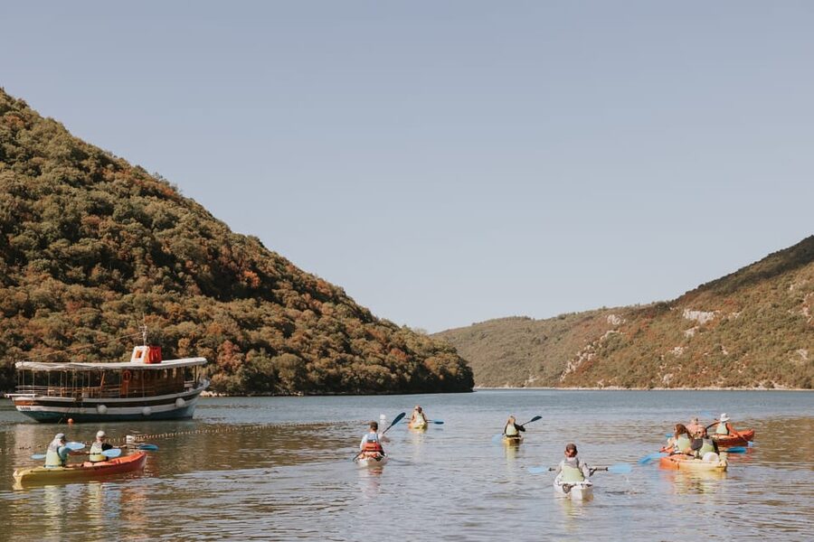 From Poreč: Lim Bay Sea Kayaking Day Trip - Who will enjoy this Lim Bay trip most?