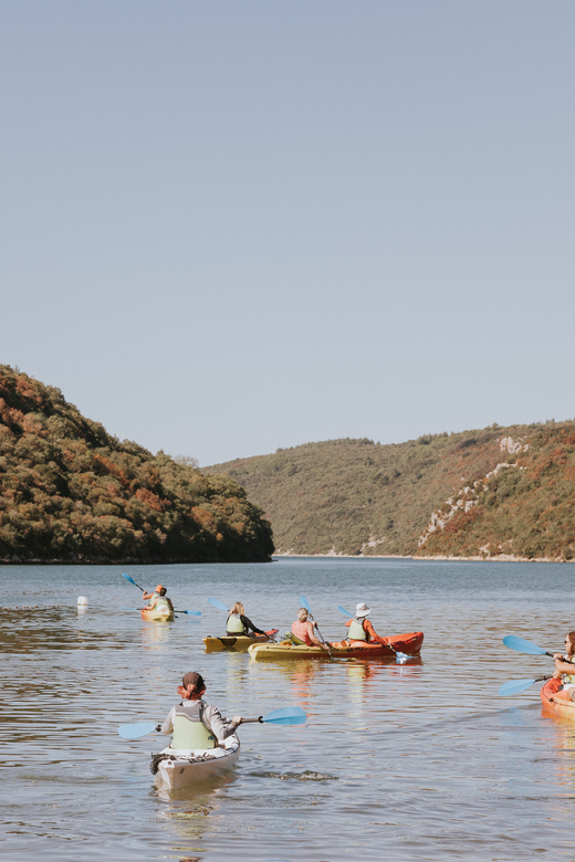 From Poreč: Lim Bay Sea Kayaking Day Trip - Why Lim Bay is worth seeing from a kayak