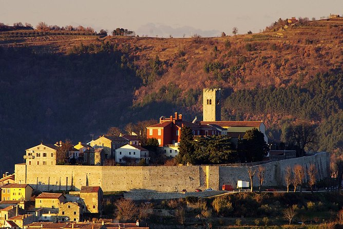 From Pula or Medulin: Istria in one day tour - Key points to know before booking