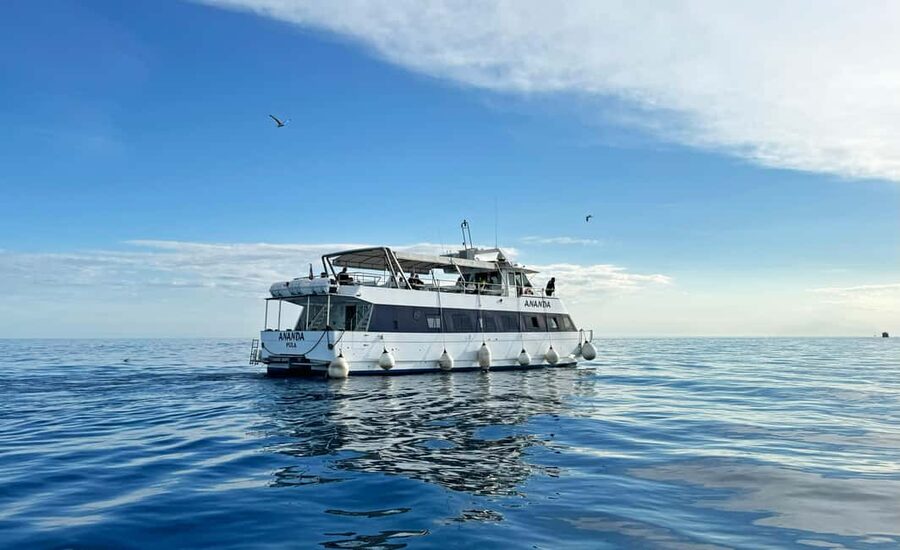 From Pula: Rovinj & NP Brijuni cruise with Red Island visit - Six hours on the Adriatic from central Pula
