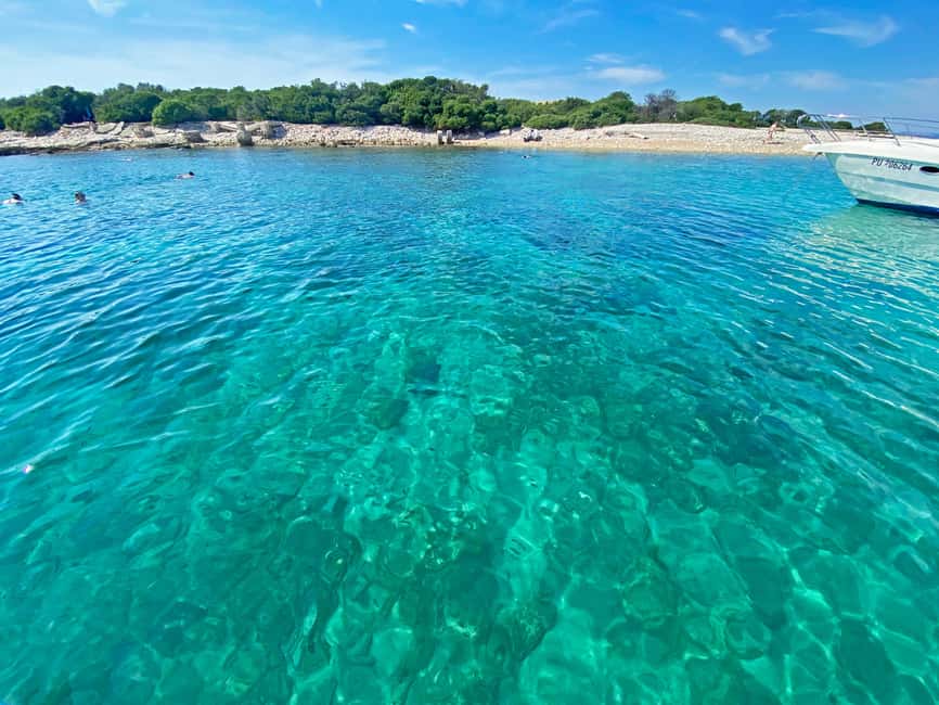 From Pula: Rovinj & NP Brijuni cruise with Red Island visit - Rovinj in about 45 minutes