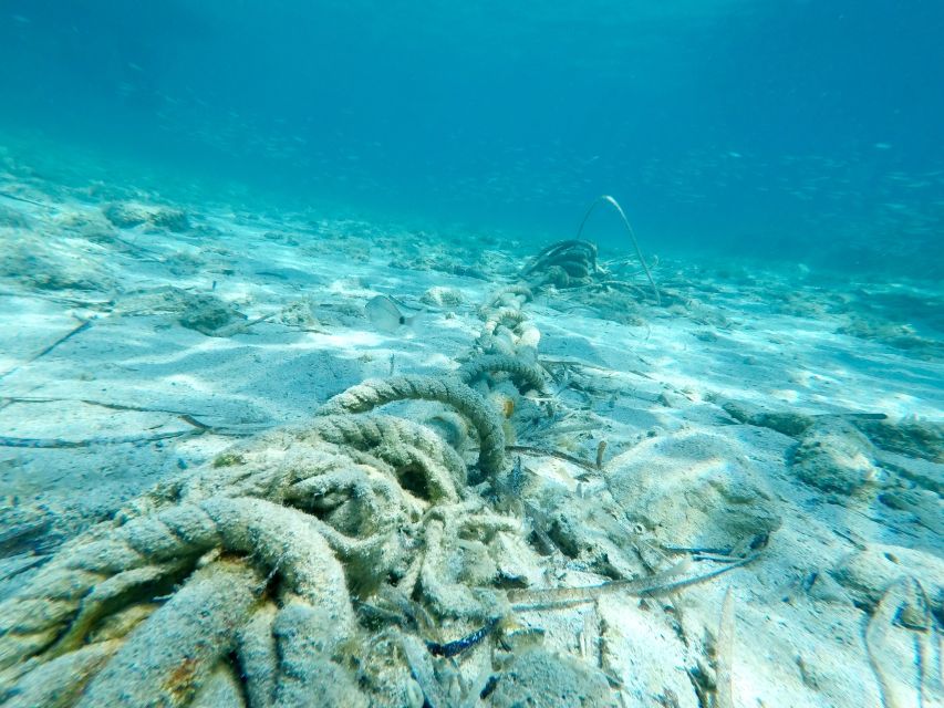 From Split: Blue Lagoon & Trogir Boat Trip with Snorkeling - Who will enjoy this five-hour outing