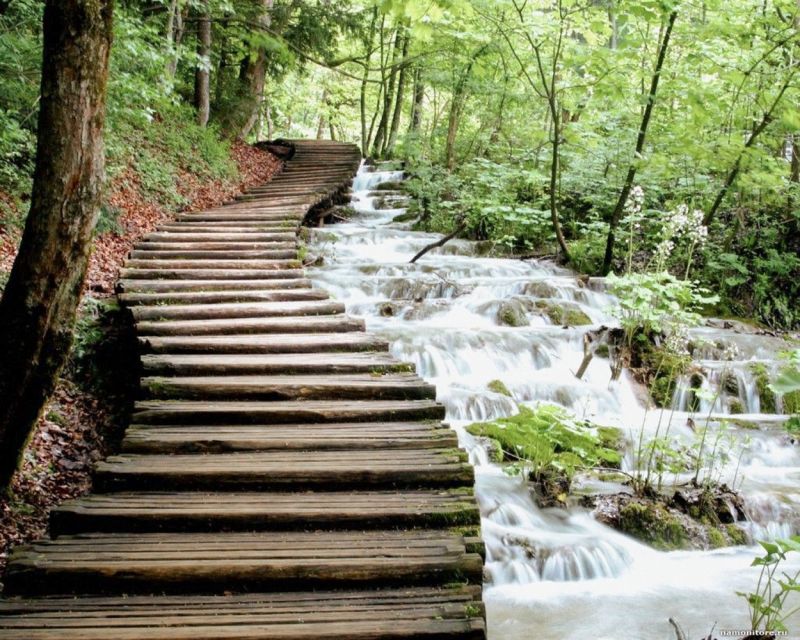 From Split or Trogir: Plitvice Lakes Guided Full-Day Tour - Free time and the electric train to Prošćansko Lake