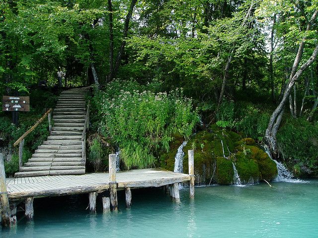 From Split or Trogir: Plitvice Lakes Private Tour - Free time near Prošćansko Lake
