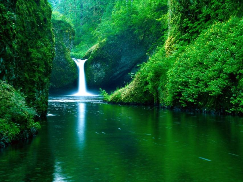 From Split or Trogir: Plitvice Lakes Private Tour - Is $559 per person a fair price?