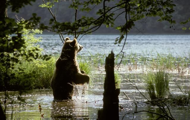 From Split or Trogir: Plitvice Lakes Private Tour - The 2.5-hour ride into Lika