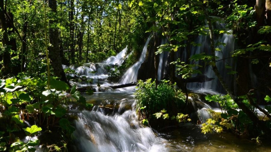 From Split or Trogir: Plitvice Lakes Trip with Entry Ticket - Key points to know before booking