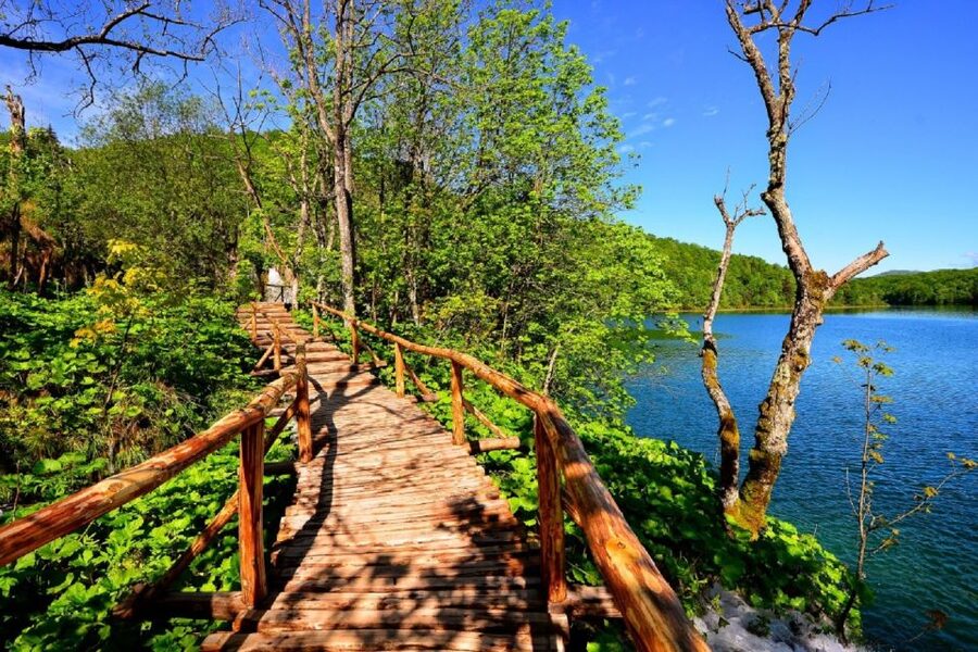 From Split or Trogir: Plitvice Lakes Trip with Entry Ticket - Four hours among 16 lakes and more than 90 waterfalls