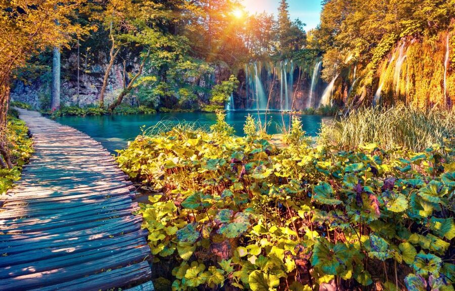 From Split: Plitvice Lakes Full-Day Trip - Four hours on the wooden paths