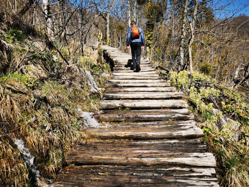 From Split: Plitvice Lakes Full-Day Trip - The Great Waterfall and the lower lakes