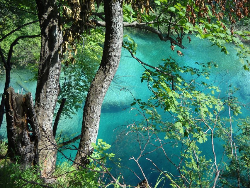 From Split: Plitvice Lakes Full-Day Trip - Café breaks and the food question