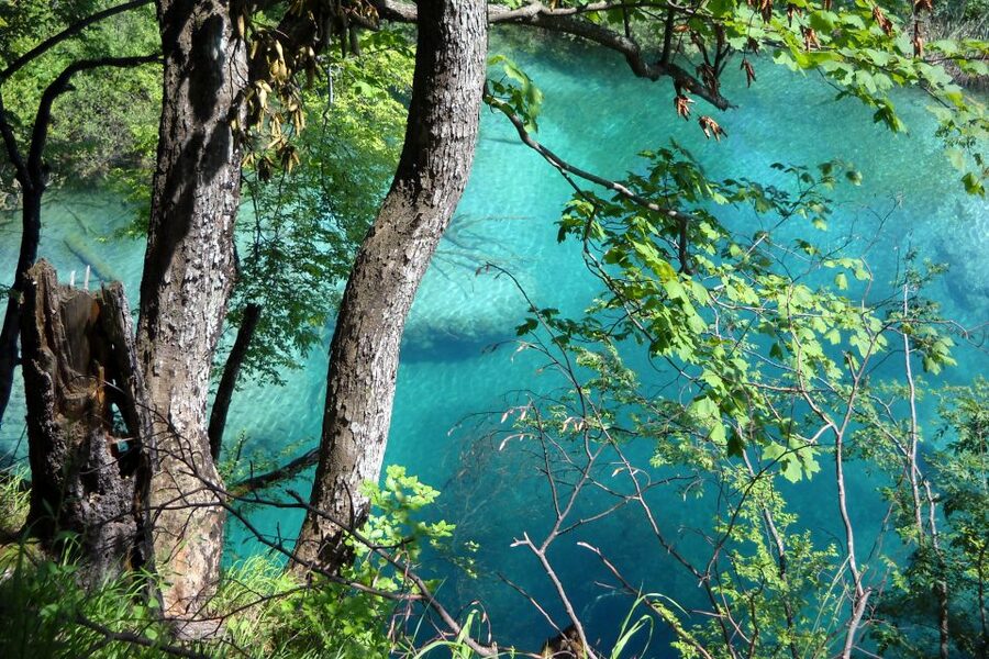 From Split: Plitvice Lakes Fully-Guided Day Tour - Five hours among the Upper Lakes
