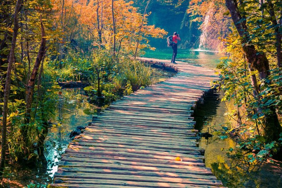 From Split: Plitvice Lakes Guided Tour with Entry Tickets - What the electric train adds