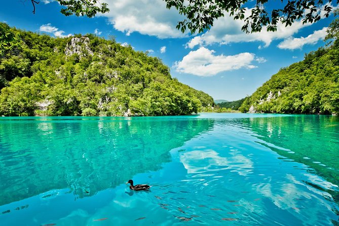 From Split: Plitvice Lakes National Park Guided Tour - What the guides add to the day