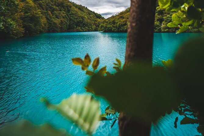 From Split: Plitvice Lakes - Private tour - The Lower Lakes, canyon walls, and Sastavci Falls