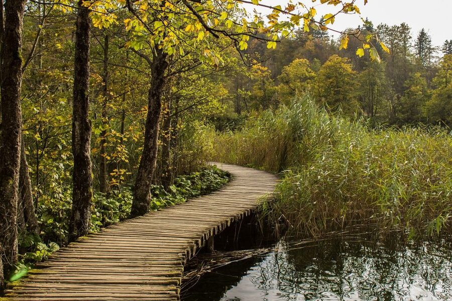 From Split: Private Tour to Plitvice Lakes National Park - Electric boat and panoramic train