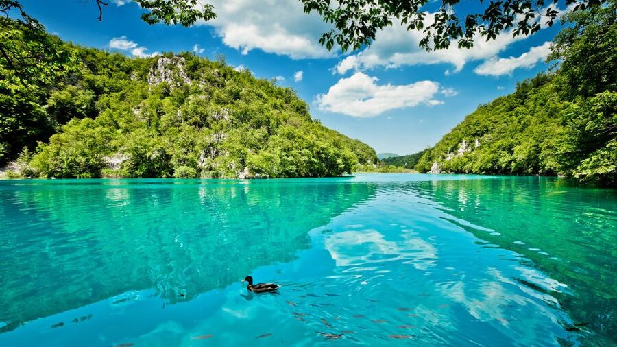 From Split: Transfer to Zagreb with Stop at Plitvice Lakes - Group size, guiding, and communication