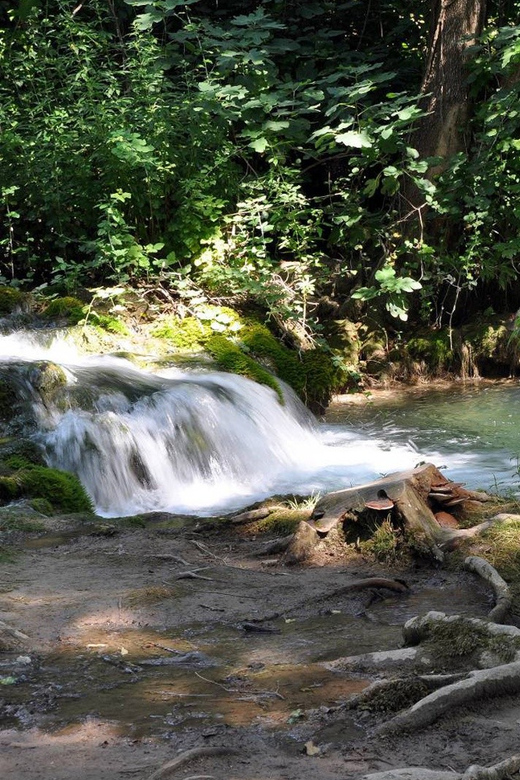 From Trogir, Seget & Okrug: Krka Waterfalls Gastro Tour - Key points at a glance