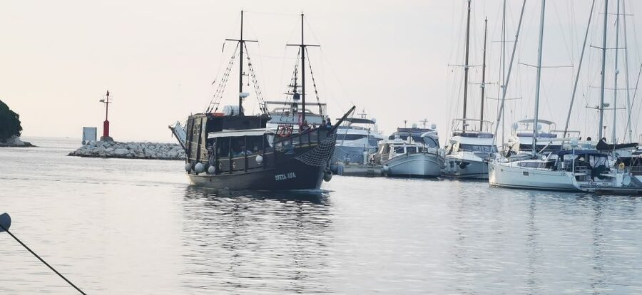 From Vrsar: Boat Trip to Rovinj and Lim Fjord - Who will enjoy this boat trip most