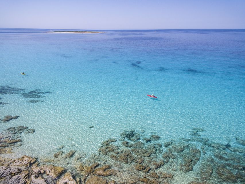 From Zadar: Dugi Otok Half-Day Kayak Adventure - Why this Dugi Otok day works so well