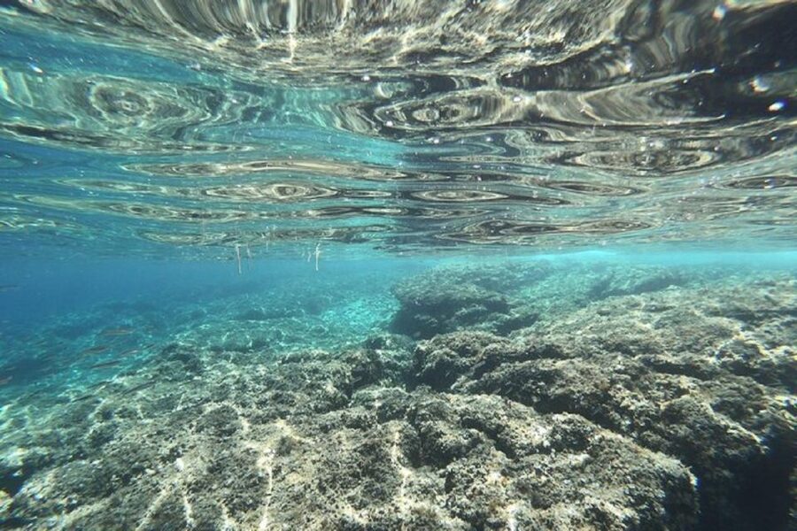From Zadar: Half/Full Day Sailing Tour - Key points at a glance