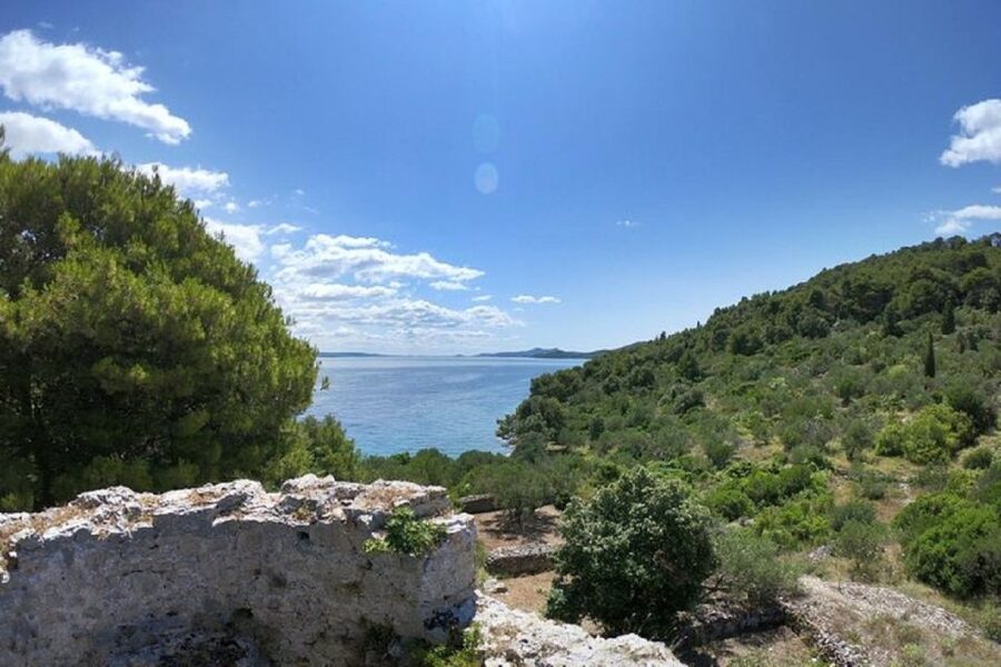 From Zadar: Half/Full Day Sailing Tour - Who should choose the half-day option