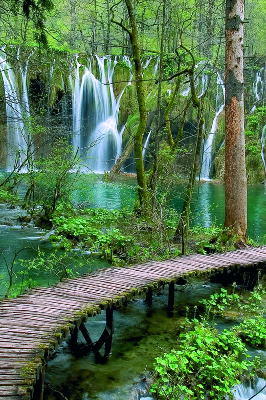 From Zadar: Plitvice Lakes Day Tour - The morning drive and arrival at the park