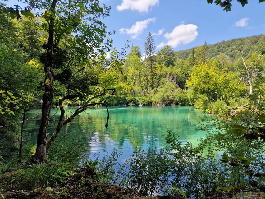 From Zadar: Plitvice Lakes Day Trip with Guide and Boat Tour - Is the $53 price good value?