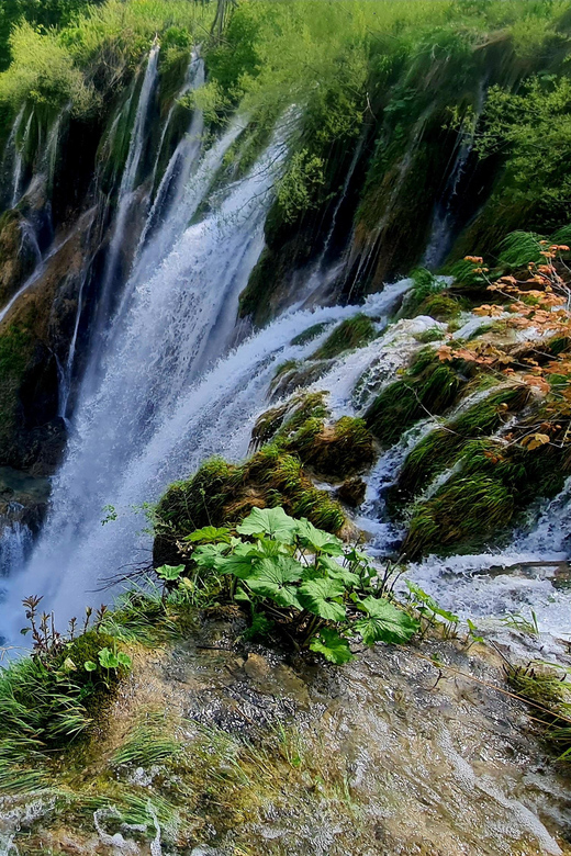 From Zadar: Plitvice Lakes Day Trip with Guide and Boat Tour - Entering the park with a reserved ticket