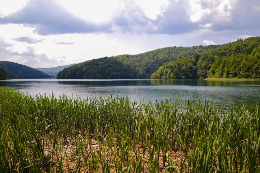 From Zadar: Round-Trip Transfer to Plitvice Lakes - Who should book this Zadar day trip?