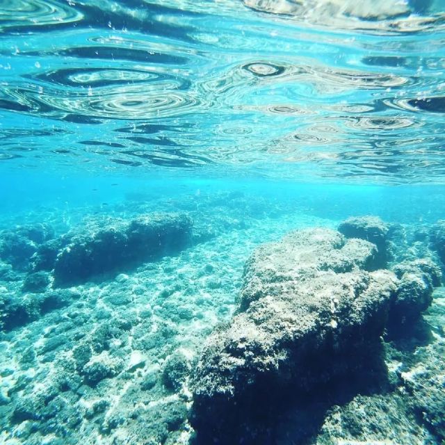 From Zadar: Ugljan Beach and Villages Private Sailboat Tour - Who should book this private sailing day