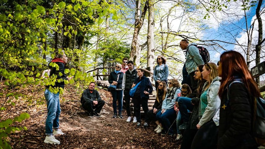 From Zagreb: Plitvice Lakes National Park Full-Day Tour - Meeting at Zrinjevac 2 in central Zagreb