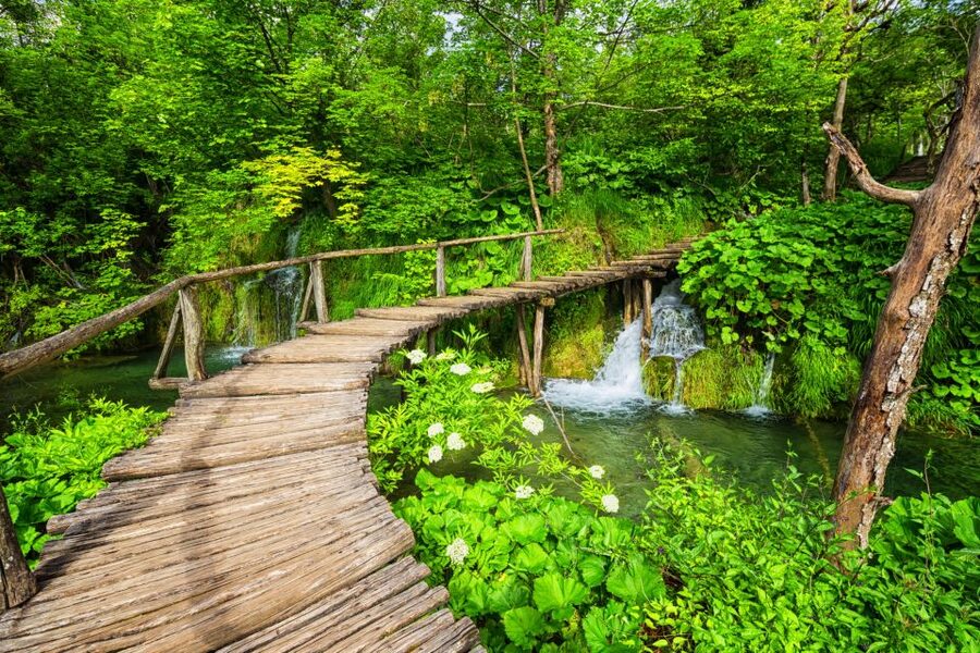 From Zagreb: Plitvice Lakes & Rastoke Private Tour - Food, fresh air, and time away from the city