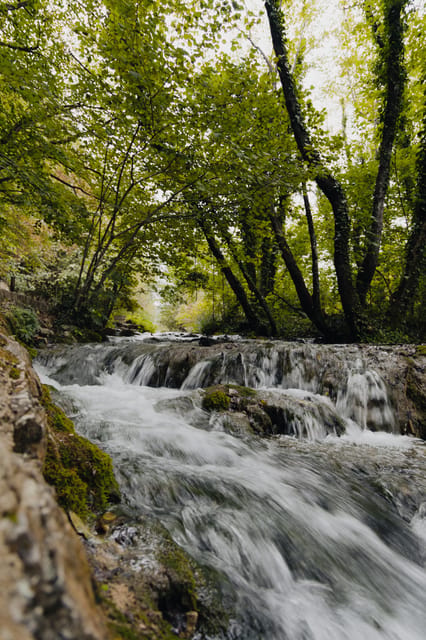 From Zagreb to Plitvice Lakes and Rastoke - Private day tour - What the private format is really worth