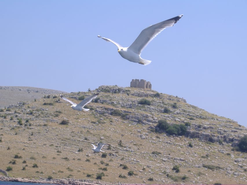 Full-day boat trip from Zadar and Sukošan to Kornati NP - Who will enjoy this boat day most