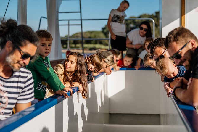 Glass boat tour Fažana with swimming stop - Returning past Fažana beach and the old center