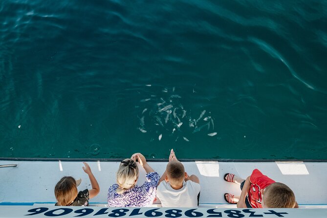 Glass boat tour Fažana with swimming stop - Crew, communication, and what can go wrong